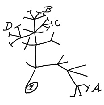 Charles Darwin Tree of Life Sketch 1837