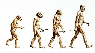 artistic representation of human evolution.