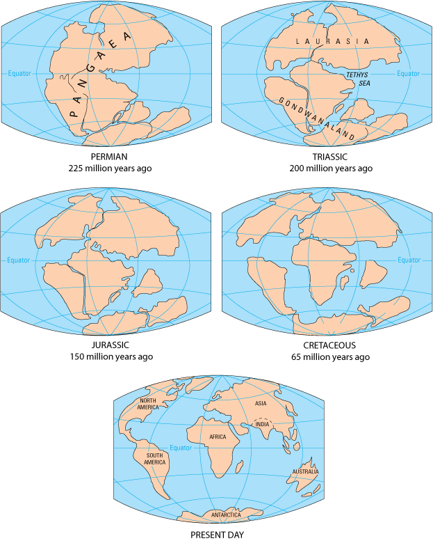 Continental Drift Pangaea to present