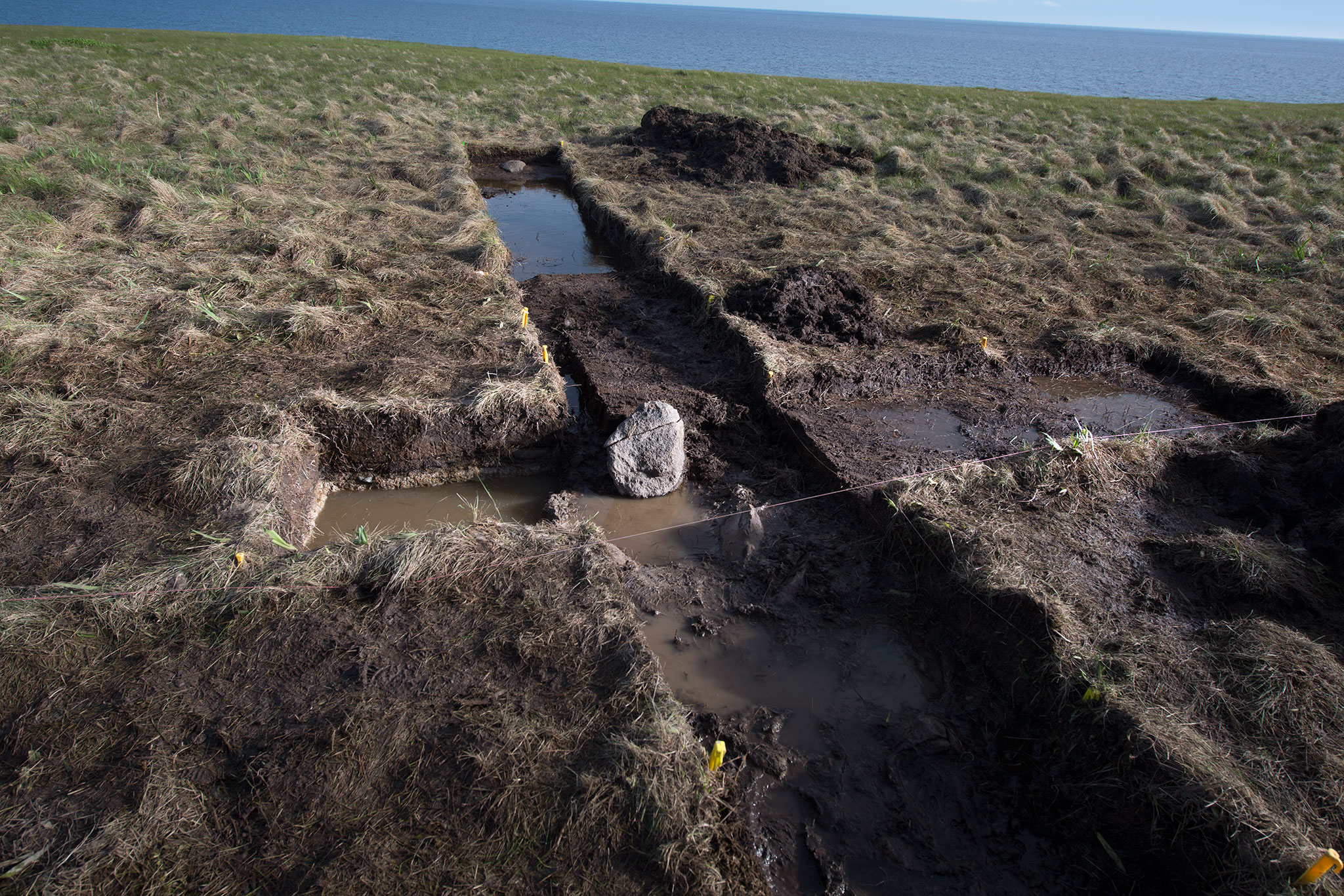 point-rosee-vikings-settlement-sites-north-american-sarah-parcak