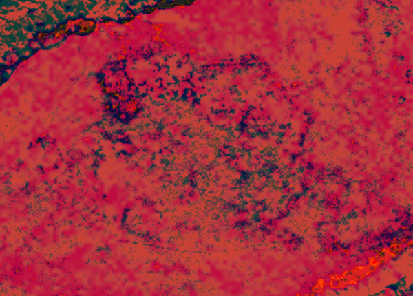processed image from infra-red remote-sensing space satellite sources showing possible structures lines at Point Rosee / Point Rosie